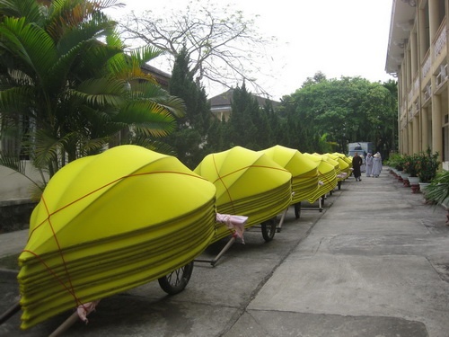 Chuẩn bị đưa sen về phố